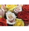 Buchet multicolor cu trandafiri Colorata maine-i gata