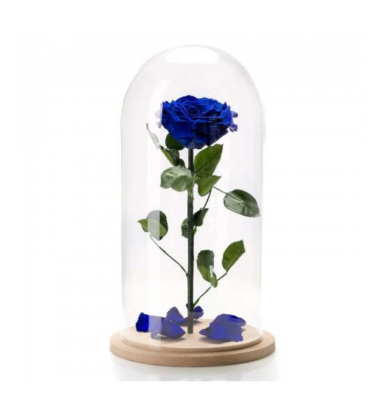 Trandafir Criogenat Albastru In Cupola De Sticla