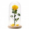 Trandafir Criogenat Galben In Cupola De Sticla 30cm