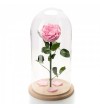 Trandafir Criogenat roz In Cupola De Sticla