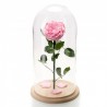 Trandafir Criogenat roz In Cupola De Sticla 30cm