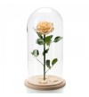 Trandafir Criogenat crem In Cupola De Sticla 30cm
