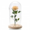 Trandafir Criogenat crem In Cupola De Sticla 30cm